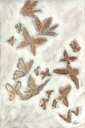 [BOGB2-12X12G] Golden Butterflies:  Part 2-Middle Sky (12x12, Gold)