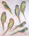 [BRGF2-24X30G] Graceful Flock: II (Gold)