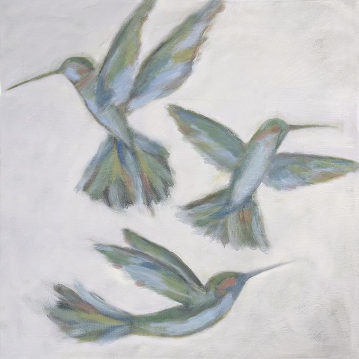 Hummingbirds- Airfoil