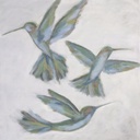 [BRHUMAF-12X12G] Hummingbirds: Airfoil (12x12, Gold)