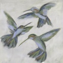 [BRHG-12X12G] Hummingbirds: Hovering (12x12, Gold)