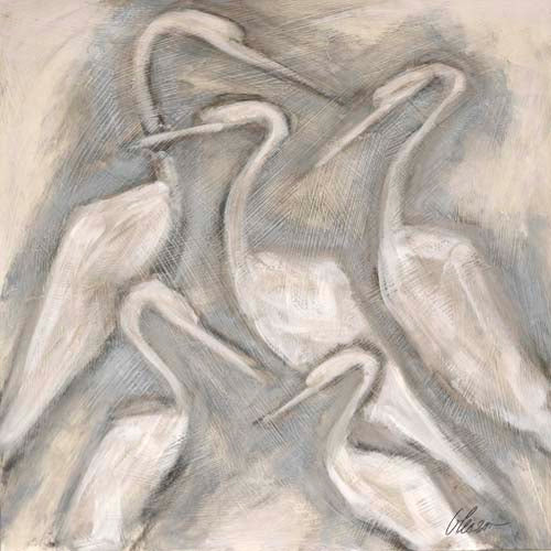 Ibis: The Five