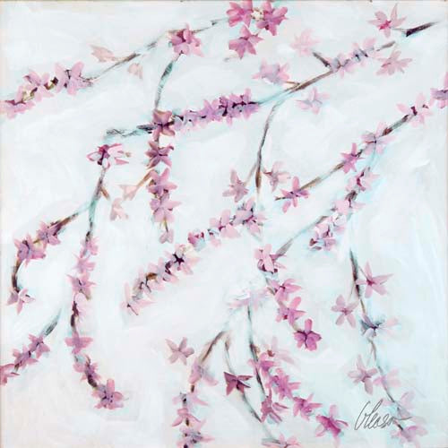 Japanese Flowering Spring: Cherry Blossoms