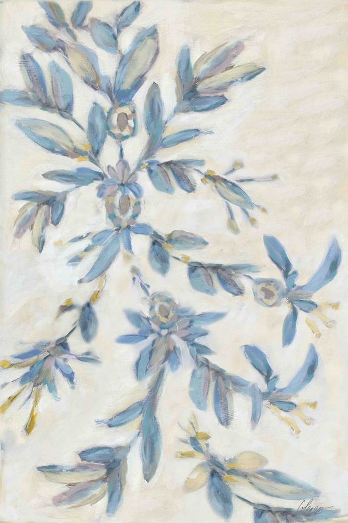 Laurus Nobilis: Fan