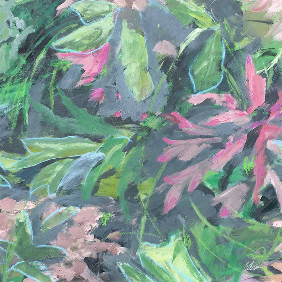 Pink Ginger: Hula