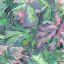 [BOPG-12X12G] Pink Ginger (12x12, Gold)