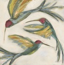 [BRHUMRW-12X12G] Royal Hummingbirds: Windsor (12x12, Gold)