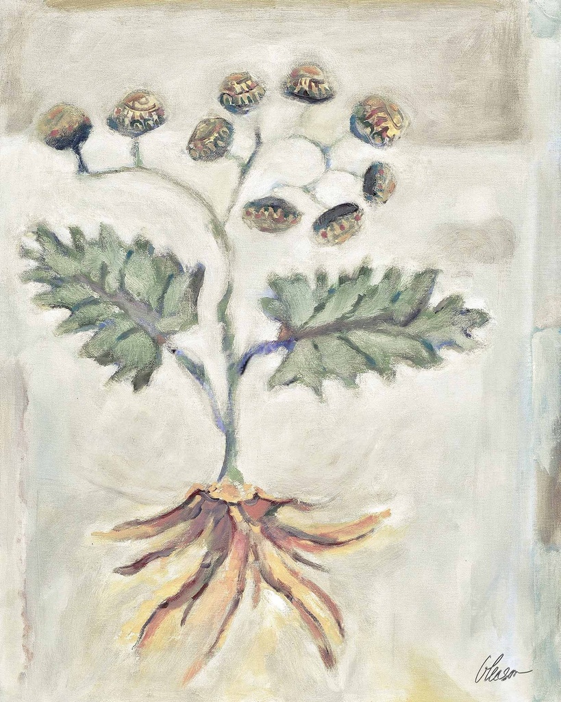 Voynich Meadow: Amethyst