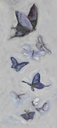[BOEW2-12X12G] Butterfly Migration: East Wind (12x12, Gold)