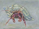 [BOCC-12X12G] The Hermit Crab (12x12, Gold)