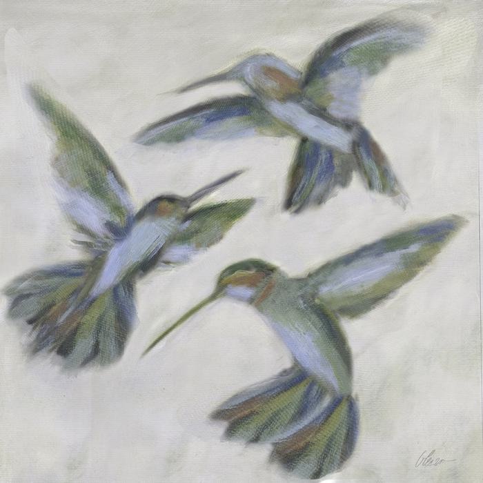 Hummingbirds: Hovering