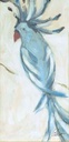 [BRASB-12X24G] Ascot: Blue (Gold)