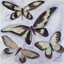 [BOBUTM-12X12G] Butterflies Part 1: Foursome (12x12, Gold)