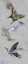 [BOWW2-16X36G] Butterfly Migration- West Wind (16x36, Gold)