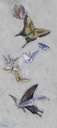 [BOWW2-16X36G] Butterfly Migration: West Wind (16x36, Gold)