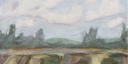 [LSCALE-12X12G] California Flax Field: Eastern View (12x12, Gold)