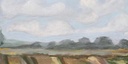 [LSCALFX-12X12G] California Flax Field: Western View (12x12, Gold)