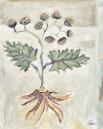 Voynich Meadow Part 1:  Amethyst