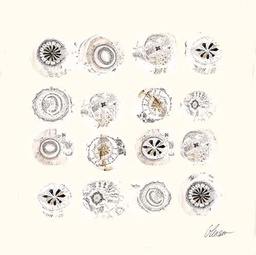 Venice: Four Shells