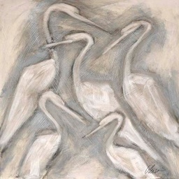 Ibis: The Five