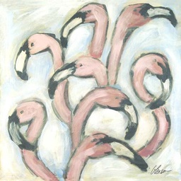 Flamingo Colony