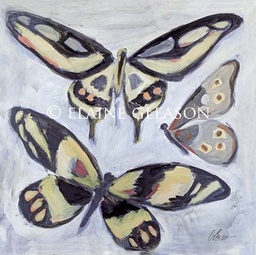 Butterflies: Threesome