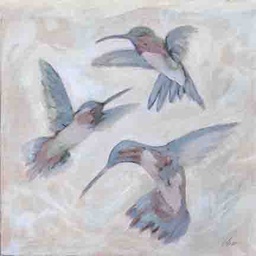 Hummingbirds- Hovering