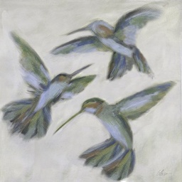 Hummingbirds- Hovering
