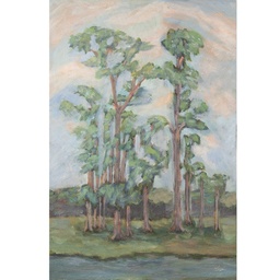 Parkland: Summer