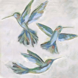 Blue/Green Hummingbirds- Airfoil